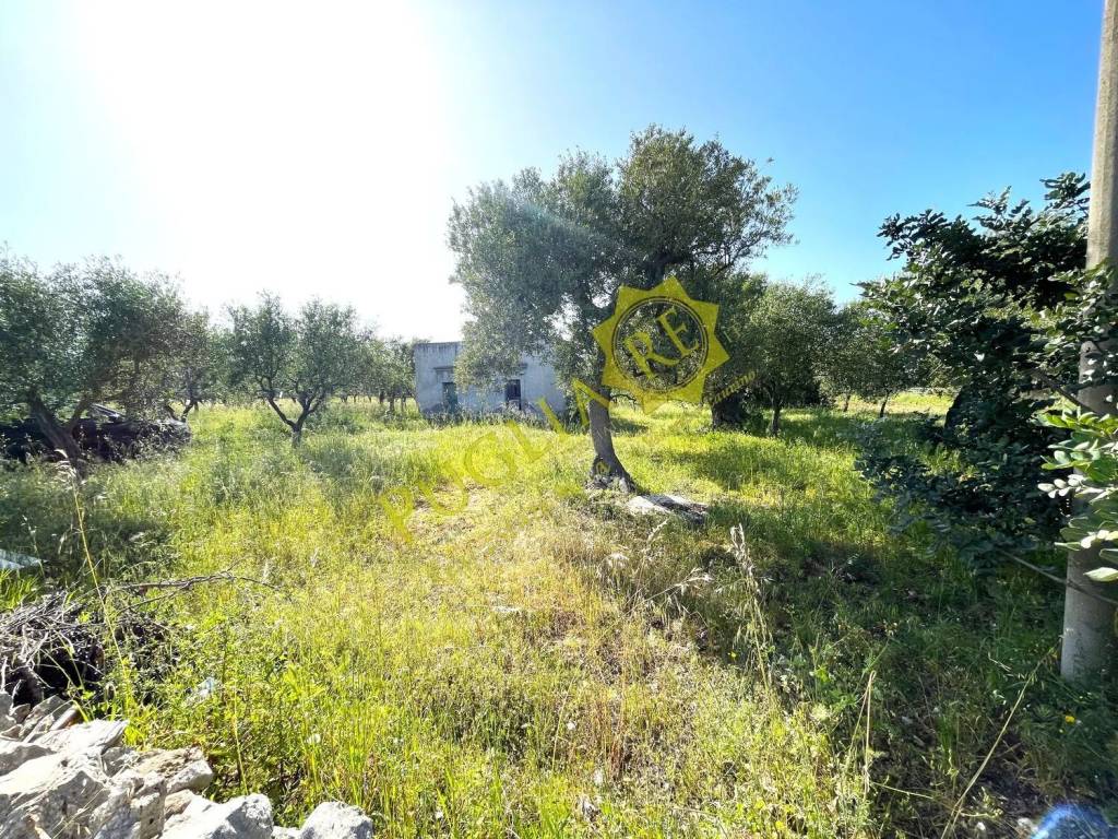 Terreno a Mola di bari in Vicinale Del Conte No Number - Foto 5