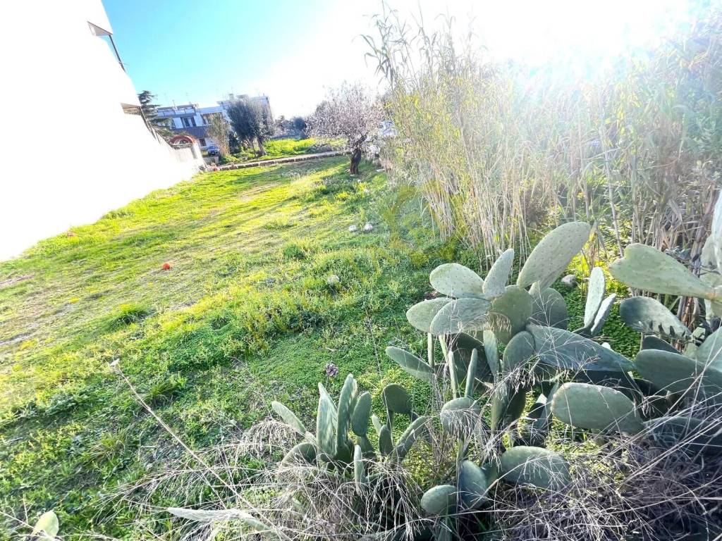 Terreno a Mola di bari in Via Bello Monsignor Tonino, 19 H - Foto 3