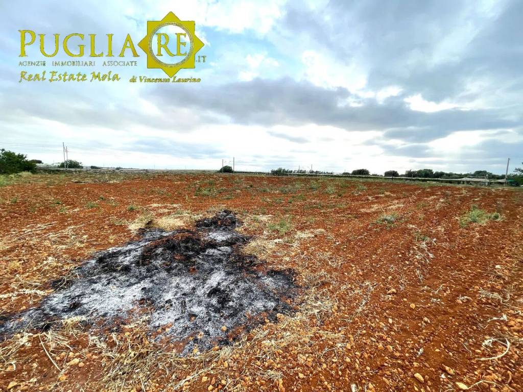 Terreno a Mola di bari in Contrada Sant'Egidio No Number - Foto 4