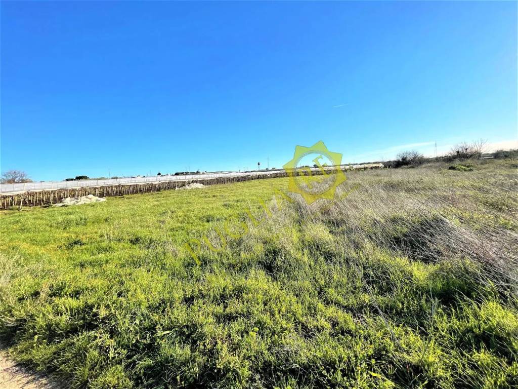 Terreno a Mola di bari in Contrada Capullo S.N.C. - Foto 2