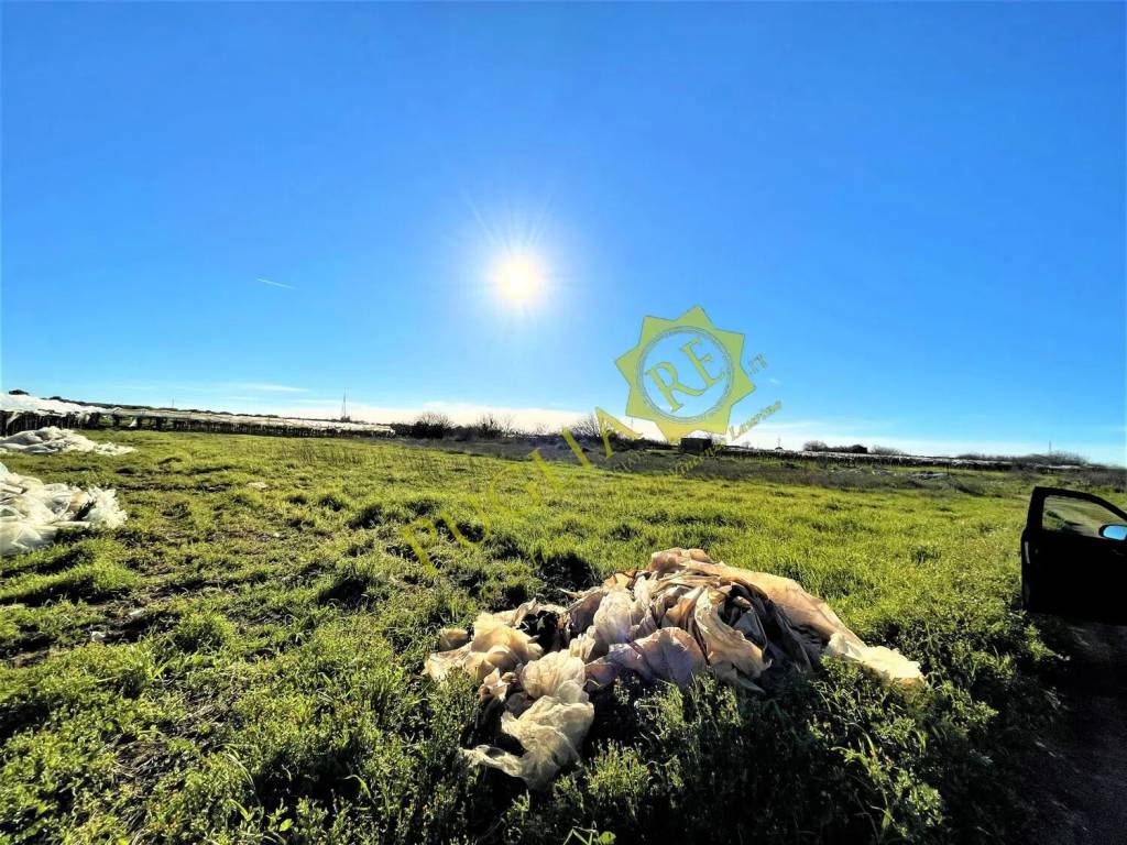Terreno a Mola di bari in Contrada Capullo S.N.C. - Foto 3