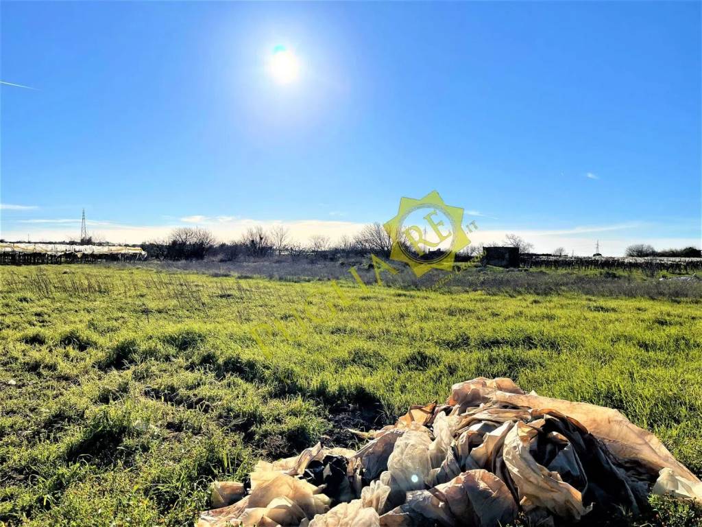 Terreno a Mola di bari in Contrada Capullo S.N.C. - Foto 4