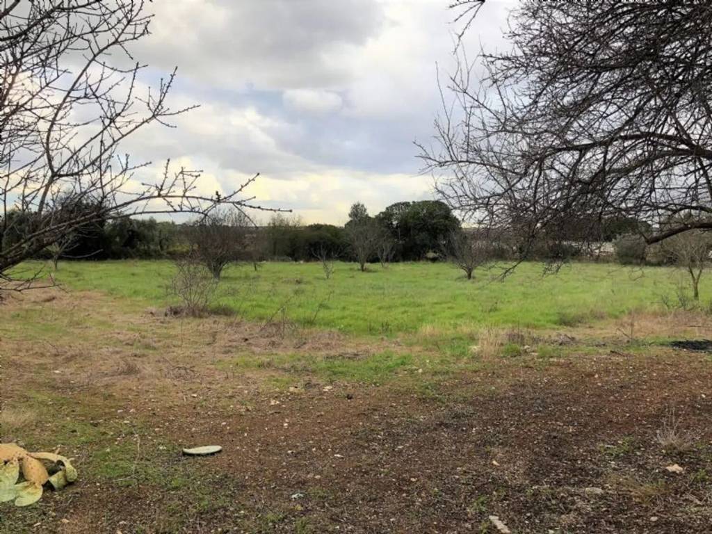 Terreno a Mola di bari in Contrada Brenca S.N.C. - Foto 2
