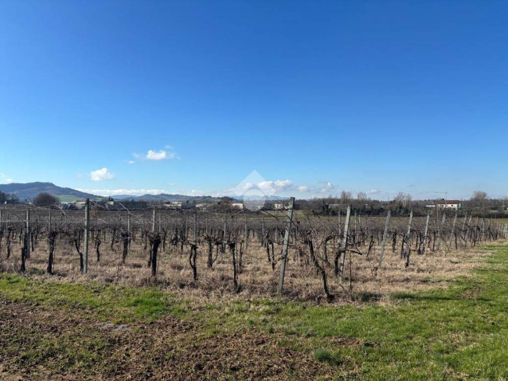 Terreno a Valsamoggia in Via San Francesco - Foto 2
