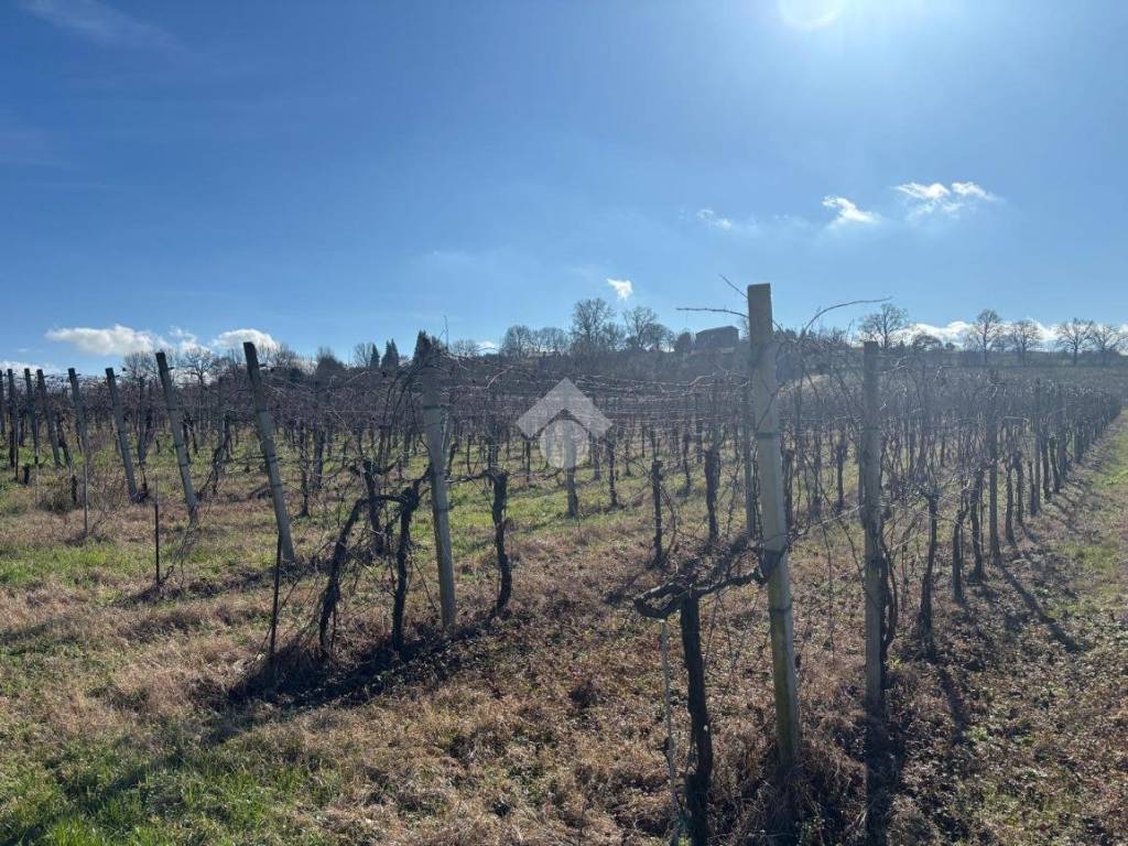 Terreno a Valsamoggia in Via San Francesco - Foto 4