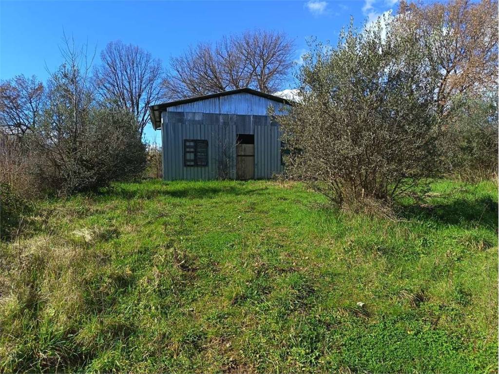Rustico / casale a Alatri in Via dei Tigli, 24 - Foto 5