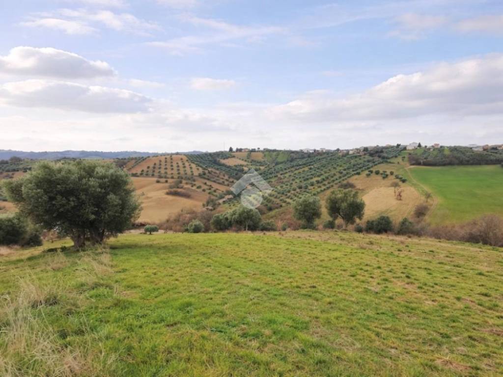 Terreno a Sant'omero in Via degli olmi - Foto 2
