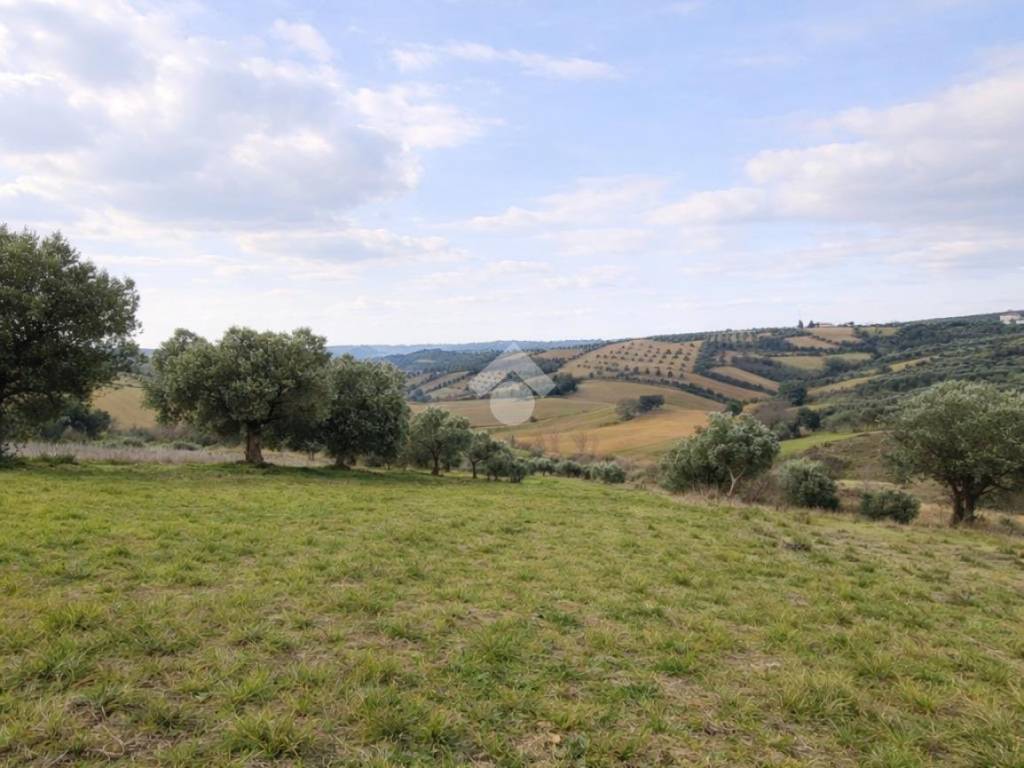 Terreno a Sant'omero in Via degli olmi - Foto 3