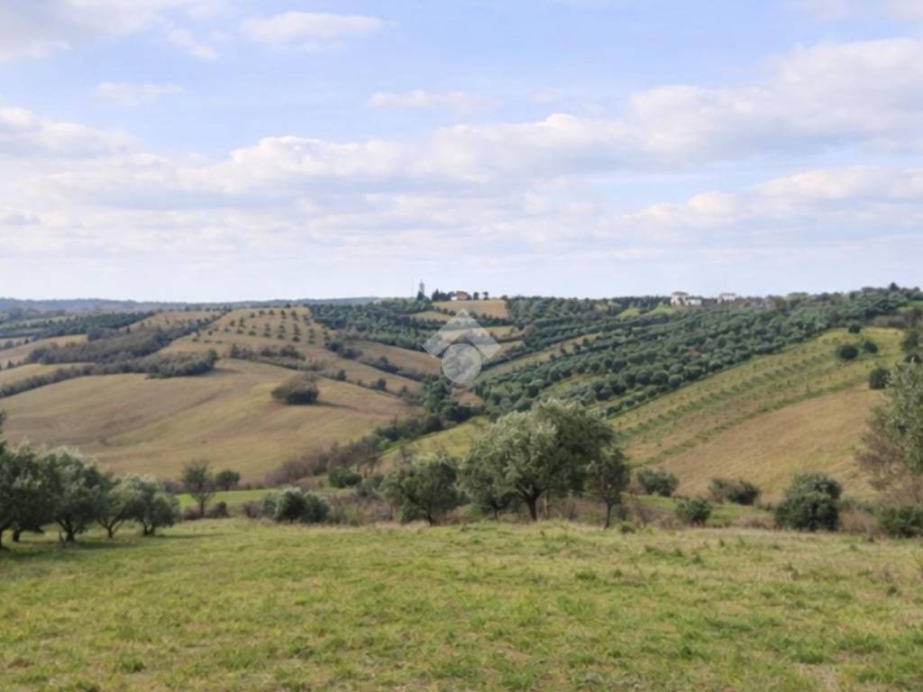 Terreno a Sant'omero in Via degli olmi - Foto 4
