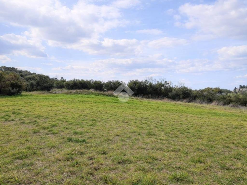 Terreno a Sant'omero in Via degli olmi - Foto 5