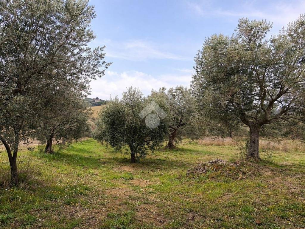 Terreno a Sant'omero in Via Colle San Polo - Foto 2