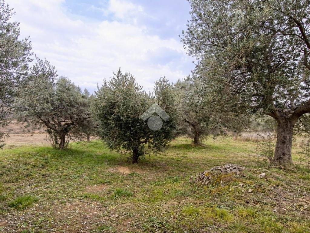 Terreno a Sant'omero in Via Colle San Polo - Foto 4