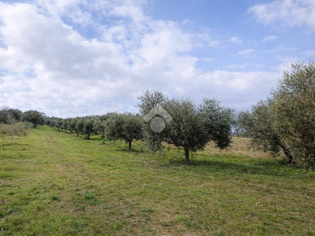 Terreno a Sant'omero in Via Colle San Polo - Foto 5