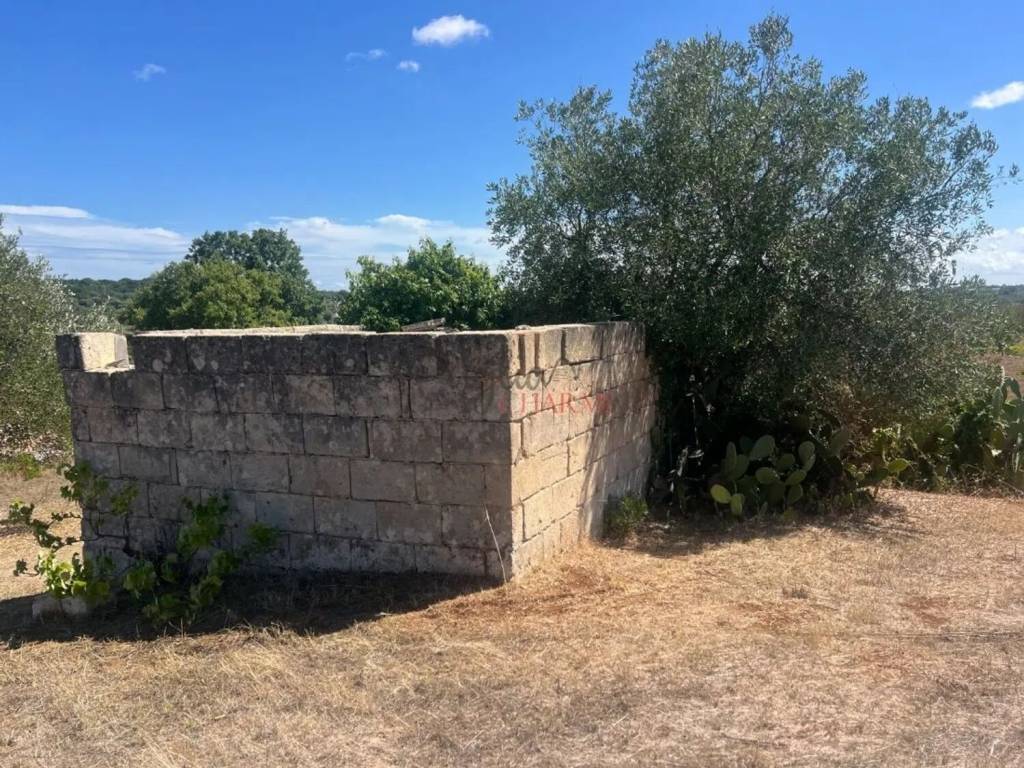 Rustico / casale a Cisternino in Contrada Chiobbica No Number - Foto 3