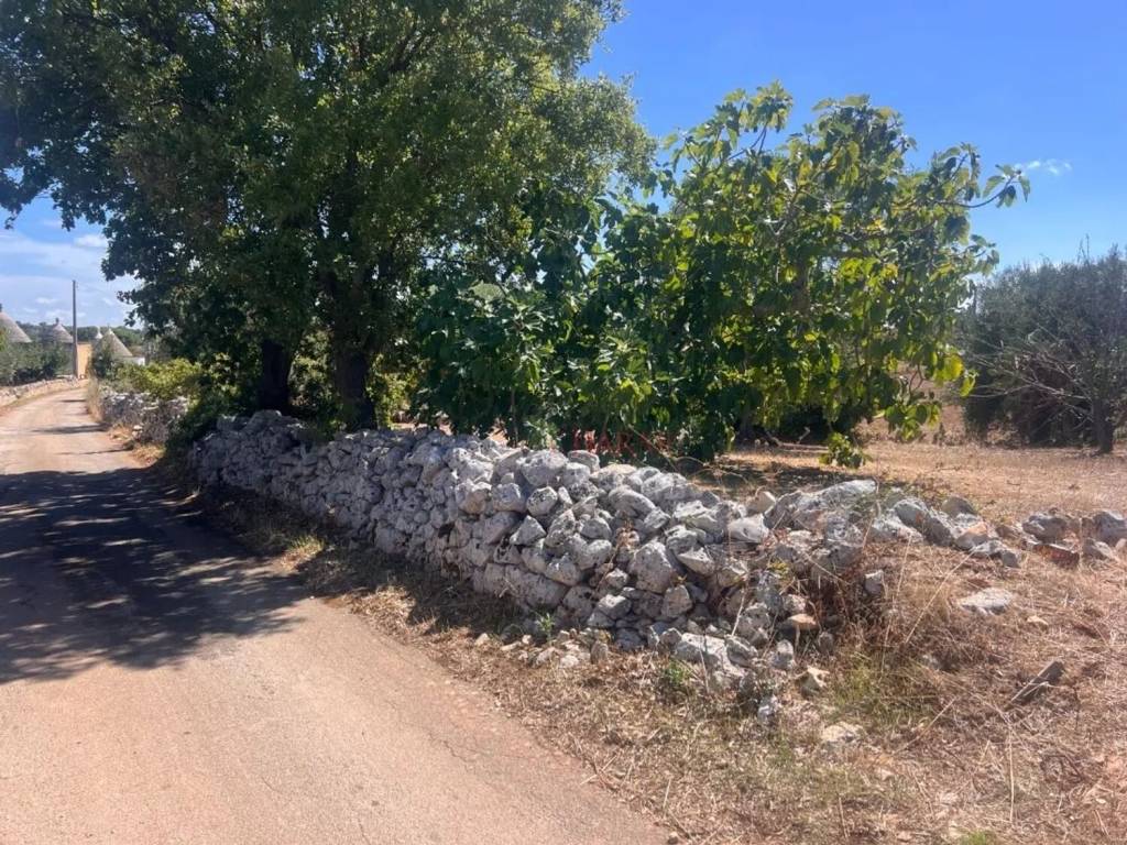 Rustico / casale a Cisternino in Contrada Chiobbica No Number - Foto 4