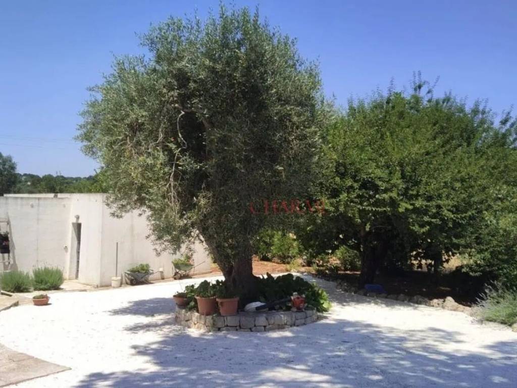 Rustico / casale a Cisternino in In Agro Di Cisternino - Foto 3