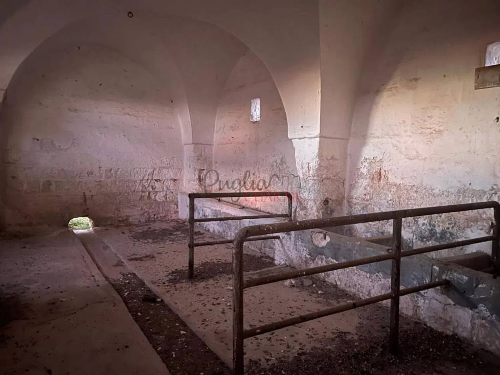 Rustico / casale a Ostuni in Campagna No Number - Foto 5