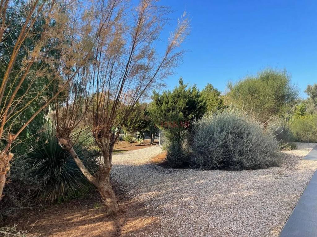 Villa a Ostuni in In Agro Ostuni - Foto 5