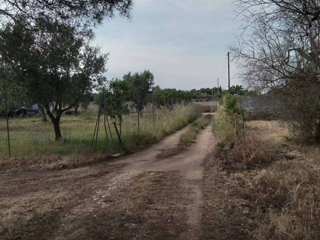 Terreno a Monteroni di lecce in Strada Comunale Caccari - Foto 5