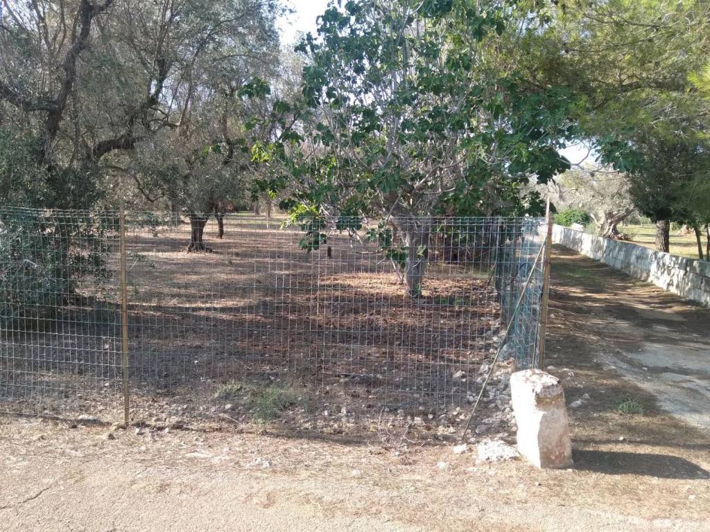 Terreno a Copertino in Pinco Centonze - Foto 2