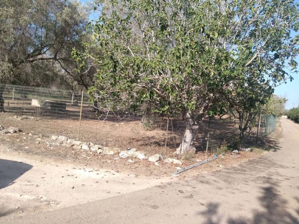 Terreno a Copertino in Pinco Centonze - Foto 5