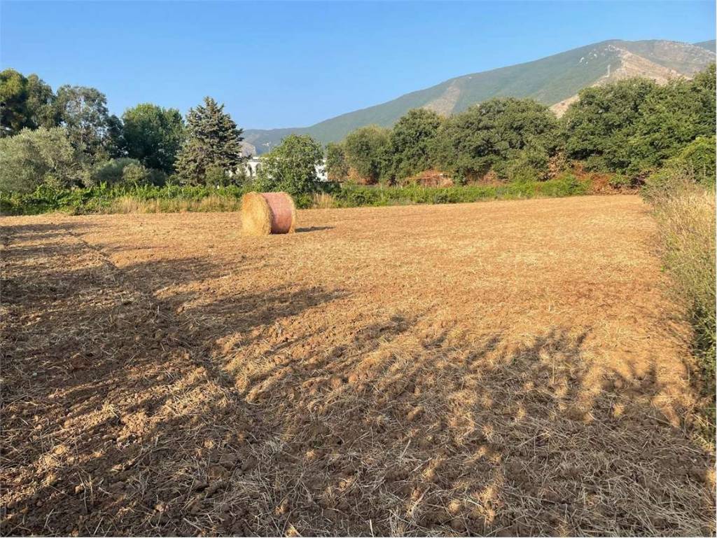 Terreno a Sessa aurunca in Via Aldo Moro - Foto 5