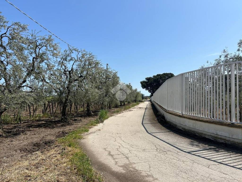 Terreno a Cerignola in Cerignola Campagna, 1 - Foto 4