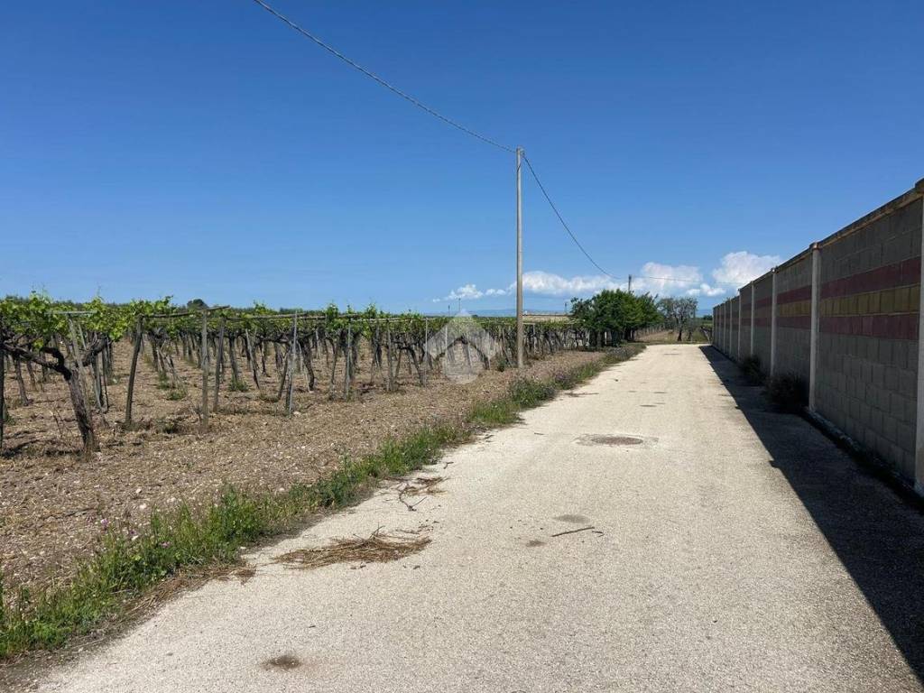 Terreno a Cerignola in Cerignola Campagna, 1 - Foto 5