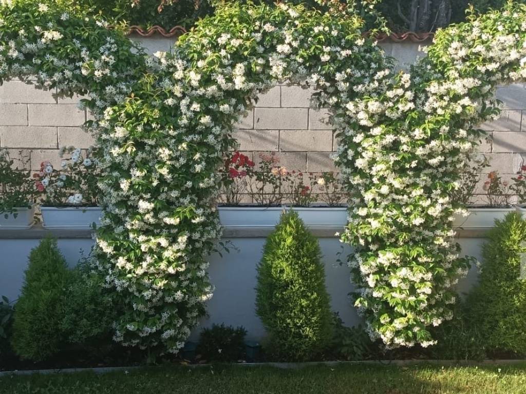 Villetta a schiera a Livorno - Foto 4