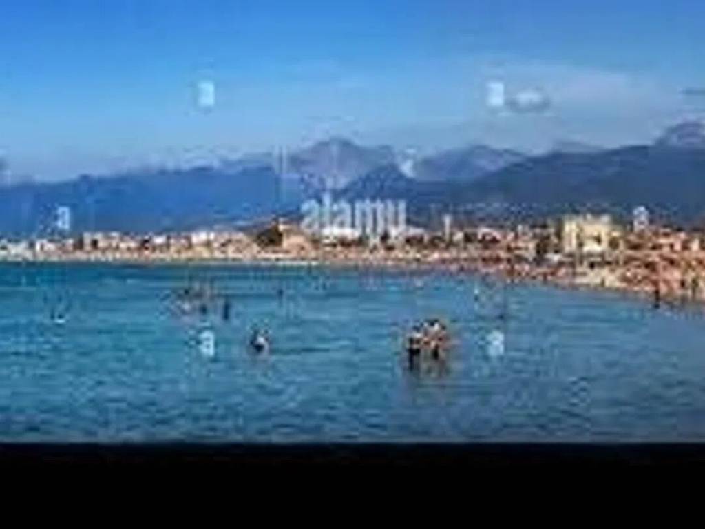 Appartamento a Viareggio in Via Monte Altissimo - Foto 3