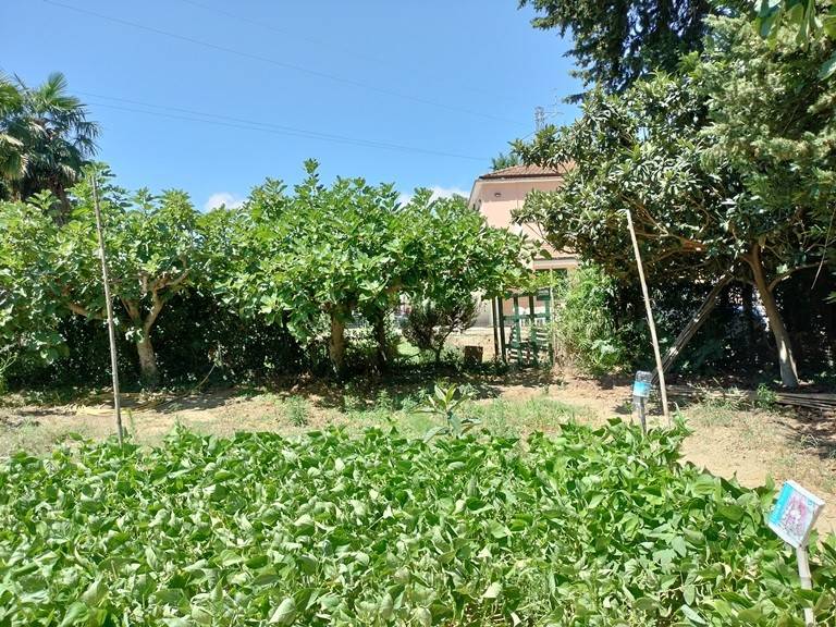 Casa indipendente a Spoltore in Via Rastelli, 6 - Foto 2