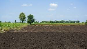 Terreno a Casale sul sile - Foto 2