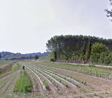 Terreno a Casale sul sile - Foto 4