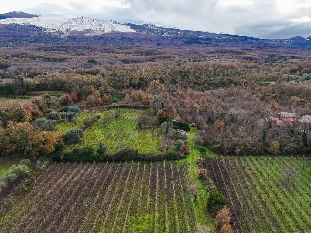 Terreno a Randazzo in Contrada Calderara - Foto 3
