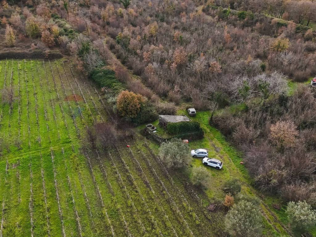 Terreno a Randazzo in Contrada Calderara - Foto 4