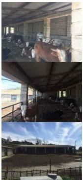 Appartamento a Bisignano in via Vico San Tommaso - Foto 5