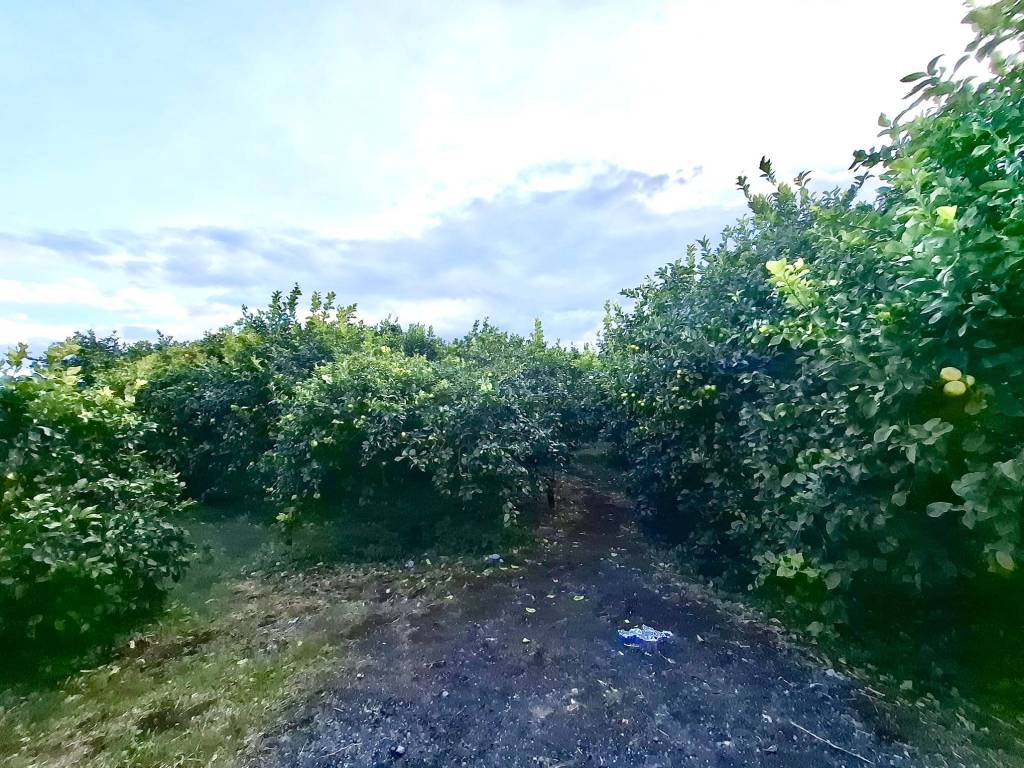 Terreno a Acireale - Foto 2