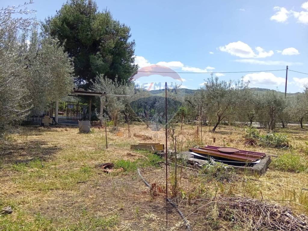 Terreno a Centuripe in Contrada Paportello - Foto 2