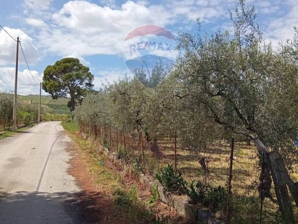 Terreno a Centuripe in Contrada Paportello - Foto 3