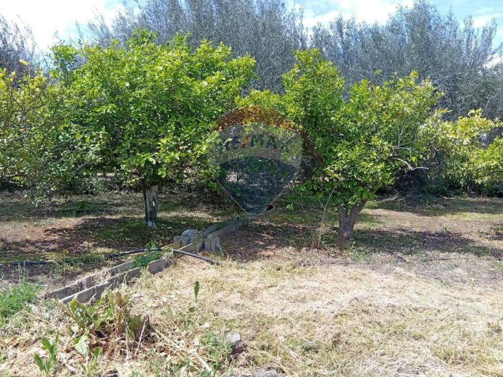 Terreno a Centuripe in Contrada Paportello - Foto 4