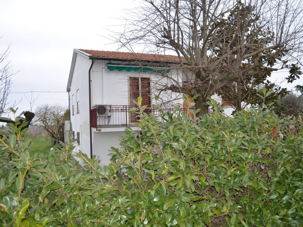 Villa a Cotignola in Via Ariodante Fabretti - Foto 3