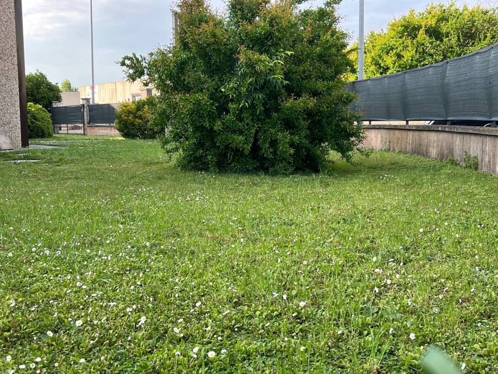 Immobile a Mantova - Foto 2