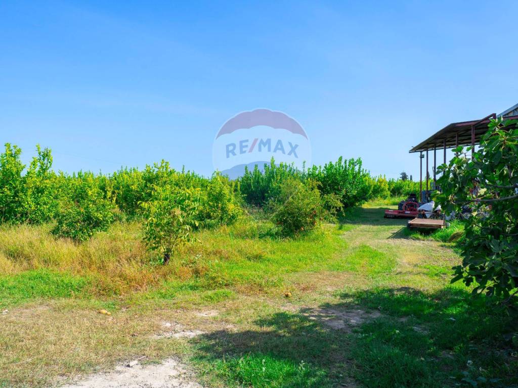 Terreno a Policoro in Viale San Giusto, 15 - Foto 2