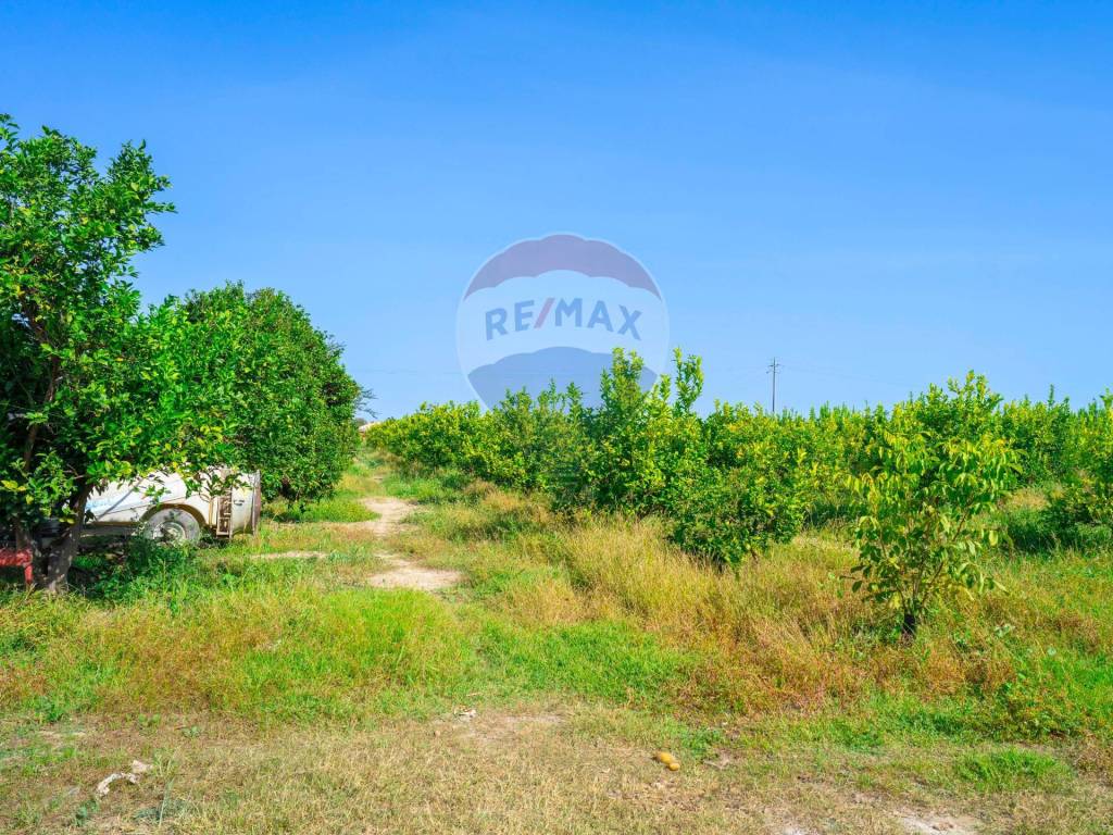 Terreno a Policoro in Viale San Giusto, 15 - Foto 3