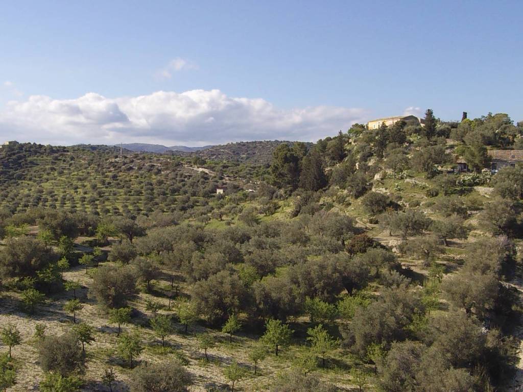 Terreno a Noto in Contrada Gioi Zisola - Foto 2