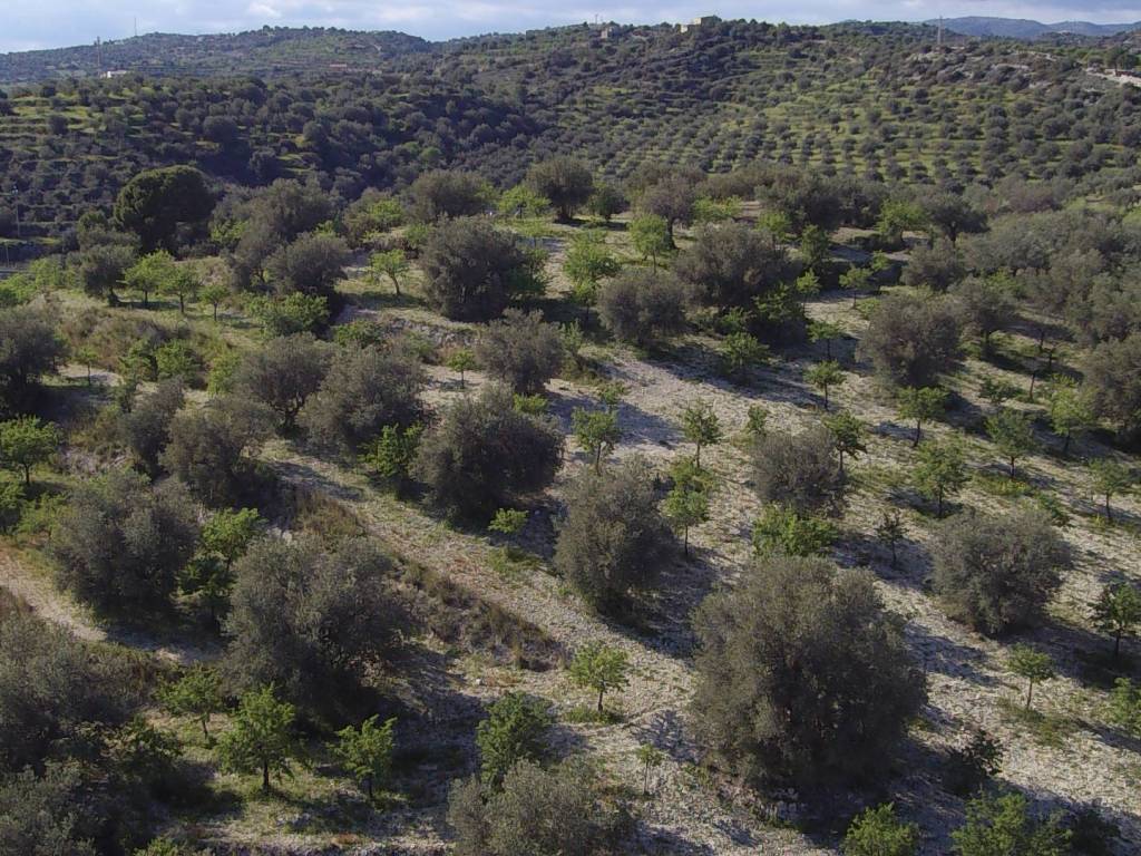 Terreno a Noto in Contrada Gioi Zisola - Foto 3