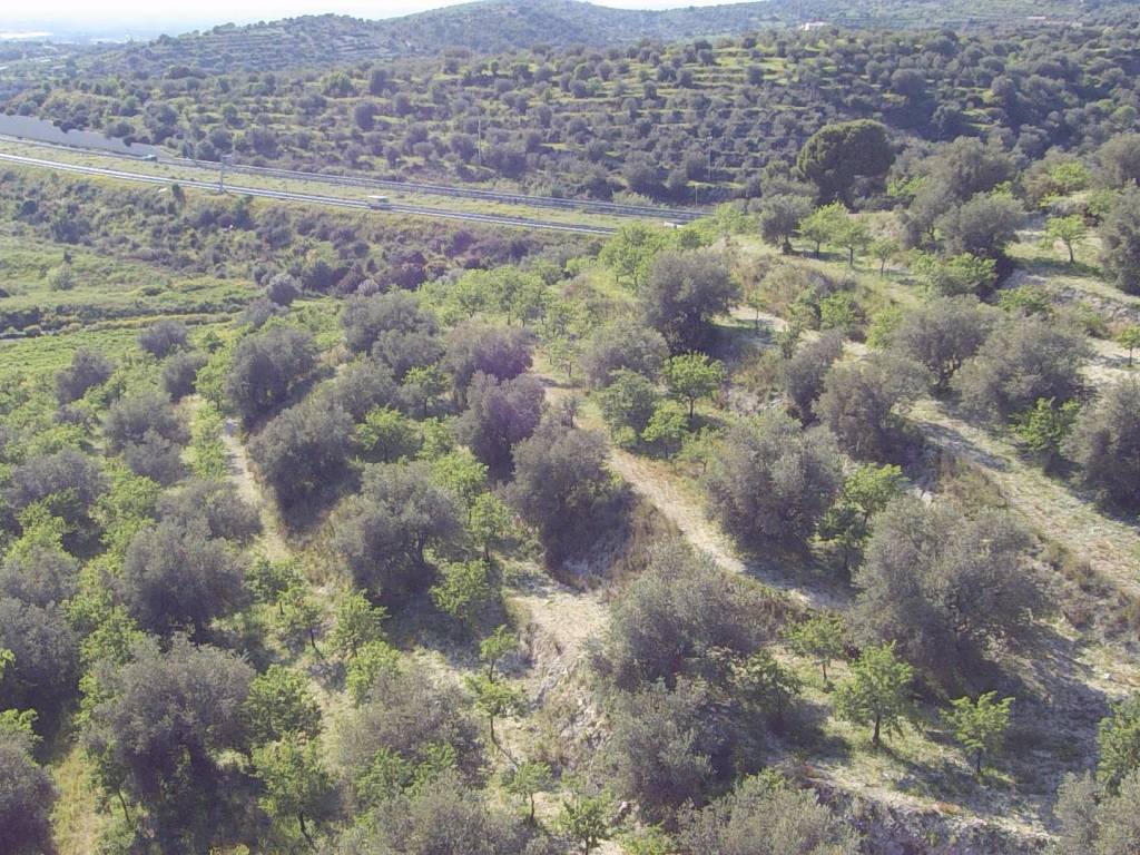 Terreno a Noto in Contrada Gioi Zisola - Foto 4