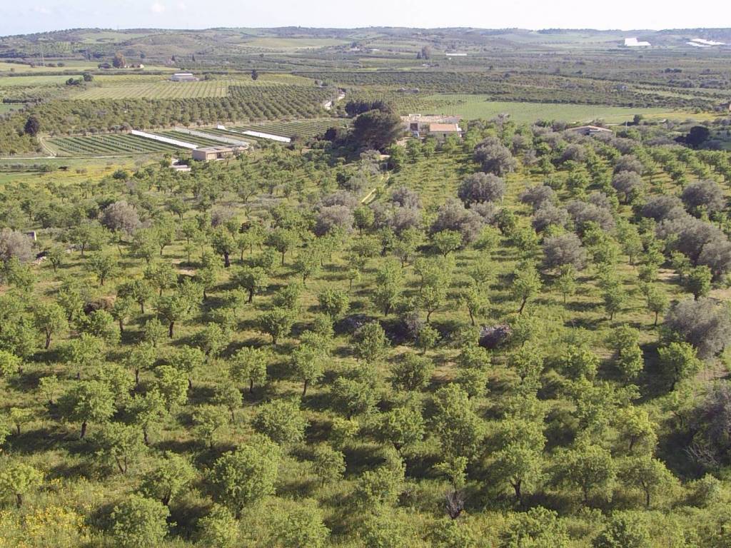 Terreno a Noto in Contrada Gioi Zisola - Foto 5
