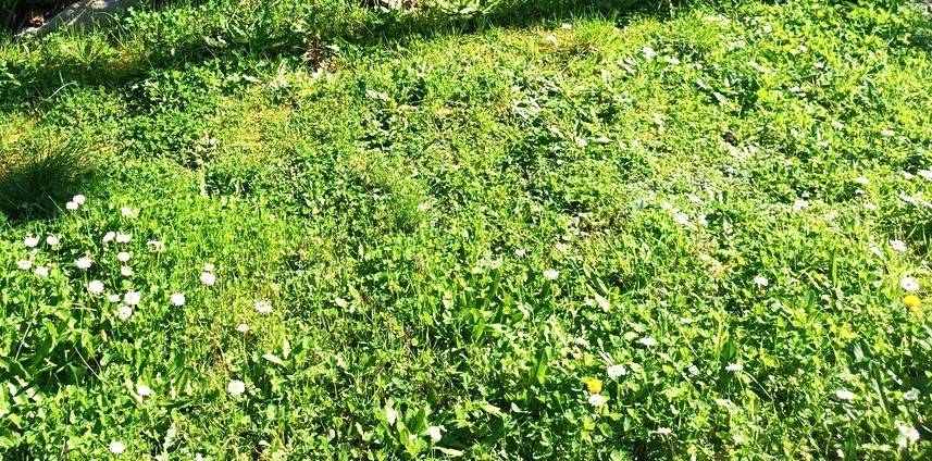 Villa a Carmignano - Foto 2