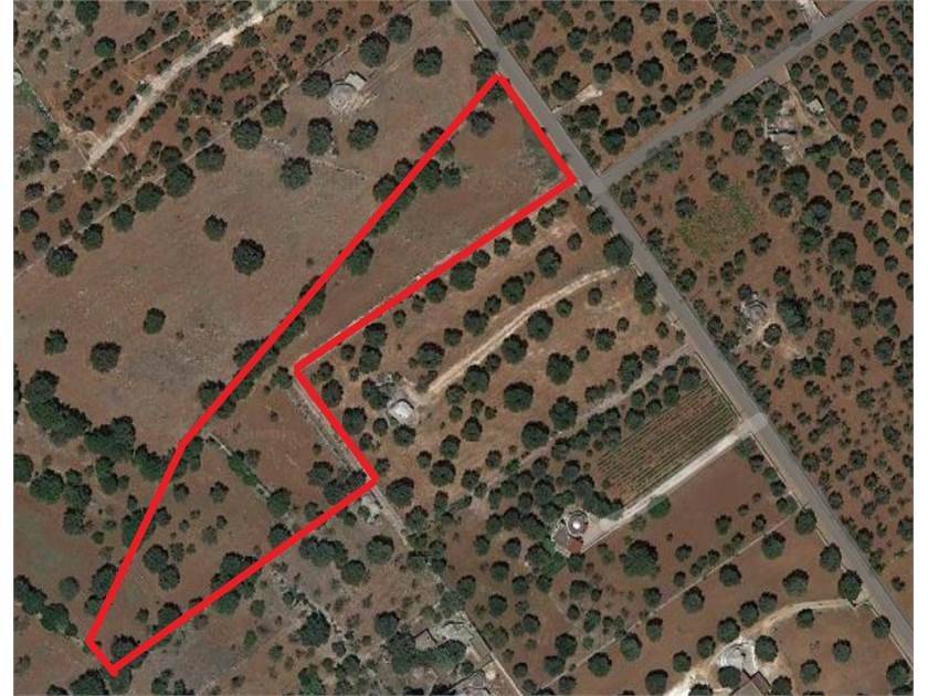 Terreno a Carovigno in SS16 - Foto 4